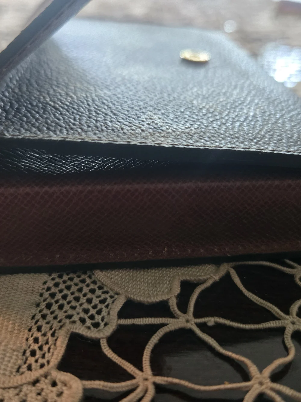 Louis Vuitton authentic louis